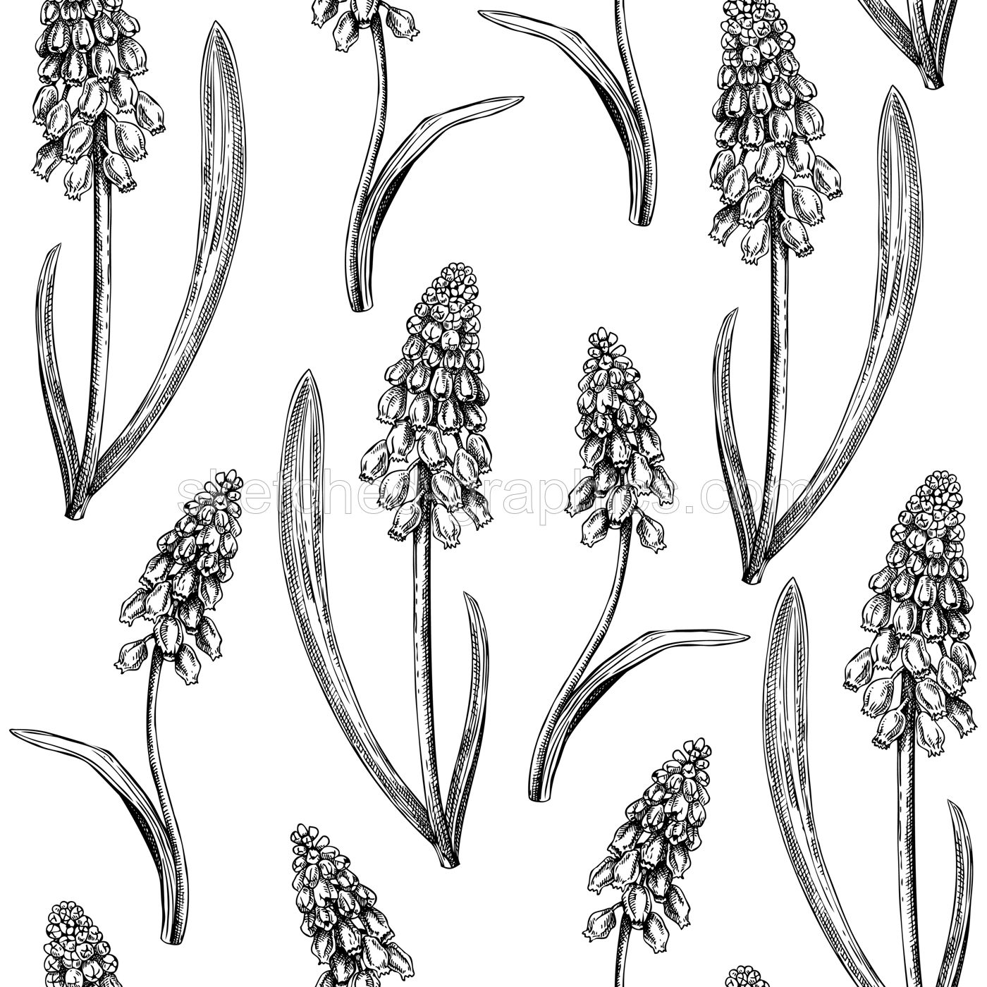 Hand-drawn grape hyacinth background design. Vintage woodland flowers sketches. Seamless spring pattern. Forest plant and wild flowers illustration for print. Vintage muscari decorative backdrop. Illustration
